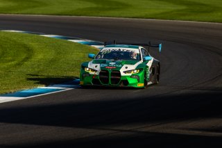 #99 BMW M4 GT3 of Kenton Koch, Conor Daly, and Connor De Phillippi, Random Vandals Racing, IGTC, IGTC Pro, FANATEC GT World Challenge America Powered by AWS, SRO America, INDY, Indianapolis, IN October 3 - 6 2024.
 | Fabian Lagunas/SRO