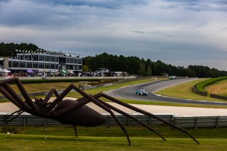 #29 BMW M4 GT3 of Justin Rothberg and Robby Foley, Turner Motorsport, GT World Challenge America, Pro-Am, FANATEC GT World Challenge America Powered by AWS, Barber Motorsports Park, Leeds, AL September 6 - 8 2024.
 | Fabian Lagunas