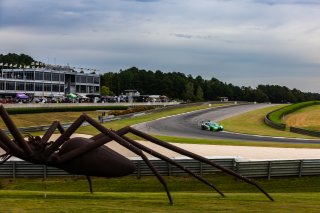#99 BMW M4 GT3 of Kenton Koch and Conor Daly, Random Vandals Racing, GT World Challenge America, Pro, FANATEC GT World Challenge America Powered by AWS, SRO America, Barber Motorsports Park, Leeds, AL September 6 - 8 2024.
 | Fabian Lagunas