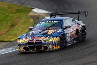#38 BMW M4 GT3 of Samantha Tan and Neil Verhagen, ST Racing, GT World Challenge America, Pro-Am, SRO America, FANATEC GT World Challenge America Powered by AWS, Barber Motorsports Park, Leeds, AL September 6 - 8 2024.
 | Fabian Lagunas