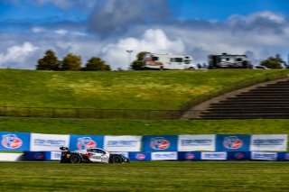#50 Chevrolet Corvette Z06 GT3.R of Ross Chouest and Aaron Pooled, Chouest Povoledo Racing, Pro-Am, GT World Challenge America Powered by AWS, SRO America, Sonoma Raceway, Sonoma, CA, March 28-30, 2025.
 | Fabian Lagunas