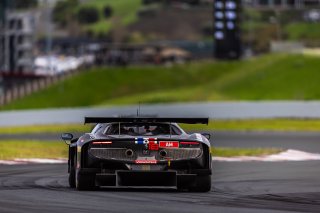 #163 Ferrari 296 GT3 of Jay Schreibman and Oswaldo Negri, AF Corse, Am, GT World Challenge America Powered by AWS, SRO America, Sonoma Raceway, Sonoma, CA, March 28-30, 2025.
 | SRO Motorsports Group
