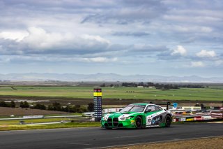 #99 BMW M4 GT3 EVO of Kenton Koch and Connor De Phillippi, Random Vandals Racing, Pro, GT World Challenge America Powered by AWS, SRO America, Sonoma Raceway, Sonoma, CA, March 28-30, 2025.
 | SRO Motorsports Group