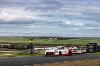 #34 Mercedes-AMG GT3 of Michai Stephens and Mikael Grenier, JMF Motorsports, Pro, GT World Challenge America Powered by AWS, SRO America, Sonoma Raceway, Sonoma, CA, March 28-30, 2025.
 | SRO Motorsports Group