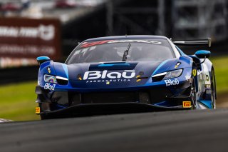 #16 Ferrari 296 GT3 of Marcelo Hahn and Allam Khodair, AF Corse, Pro-Am, GT World Challenge America Powered by AWS, SRO America, Sonoma Raceway, Sonoma, CA, March 28-30, 2025.
 | Fabian Lagunas