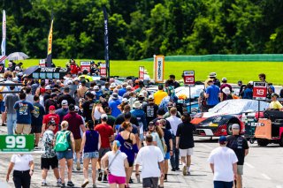 Grid walk at GT World Challenge America Powered by AWS, SRO America, Virginia International Raceway, Alton, VA, July 18-20, 2025
 | Fabian Lagunas | www.lagunasphotography.com | For SRO Motorsports Group 2025