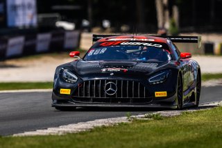 #91 Mercedes-AMG GT3 of Jeff Burton and Philip Ellis, Regulator Racing, GT World Challenge America, Pro-Am, SRO America, Road America, Elkhart Lake, WI, Aug 15 - 17, 2025
 | Fabian Lagunas | www.lagunasphotography.com | For SRO Motorsports Group 2025