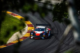 #18 Porsche 992 GT3 R of Alex Sedgwick and Jan Heylen, RS1, GT World Challenge America, Pro, SRO America, Road America, Elkhart Lake, WI, Aug 15 - 17, 2025
 | Fabian Lagunas | www.lagunasphotography.com | For SRO Motorsports Group 2025