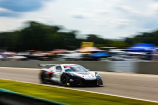 #50 Chevrolet Corvette Z06 GT3.R of Ross Chouest and Aaron Povoledo, Chouest Povoledo Racing, GT World Challenge America, Pro-Am, SRO America, Barber Motorsports Park, Birmingham, AL, Sept 5 - 7, 2025
 | Fabian Lagunas | www.lagunasphotography.com | For SRO Motorsports Group 2025