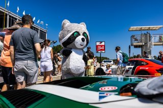 Grid walk at GT World Challenge America Powered by AWS, SRO America, Barber Motorsports Park, Birmingham, AL, Sept 5 - 7, 2025
 | Fabian Lagunas | www.lagunasphotography.com | For SRO Motorsports Group 2025