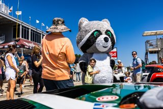Grid walk at GT World Challenge America Powered by AWS, SRO America, Barber Motorsports Park, Birmingham, AL, Sept 5 - 7, 2025
 | Fabian Lagunas | www.lagunasphotography.com | For SRO Motorsports Group 2025