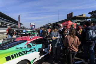 Grid walk at GT World Challenge America Powered by AWS, Indy 8HR, SRO America, Indianapolis Motor Speedway, Speedway, IN Oct 15 - 19, 2025 #11 Chevrolet Corvette Z06 GT3.R of Blake McDonald / Alec Udell / Matt Bell, DXDT Racing, Indy 8H, Pro-Am, Indianapo | Fabian Lagunas | www.lagunasphotography.com | For SRO Motorsports Group 2025