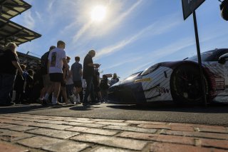 Grid walk at GT World Challenge America Powered by AWS, Indy 8HR, SRO America, Indianapolis Motor Speedway, Speedway, IN Oct 15 - 19, 2025
 | Fabian Lagunas | www.lagunasphotography.com | For SRO Motorsports Group 2025