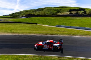 #8 Porsche 911 GT3-R (992) EVO of Michael McCann Jr. and Zachary Vanier, McCann Racing, GT World Challenge America, Pro, SRO America, Sonoma Raceway, Sonoma, CA, Mar 27 - 29, 2026
 | Fabian Lagunas&copy;2026