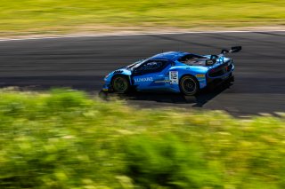 #12 Ferrari 296 GT3 EVO of Matias Perez Companc and Frederik Schandorff, AF Corse USA, GT World Challenge America, Pro, SRO America, Sonoma Raceway, Sonoma, CA, Mar 27 - 29, 2026
 | Fabian Lagunas&copy;2026