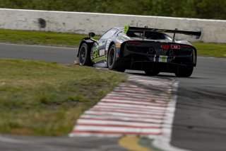 #163 Ferrari 296 GT3 EVO of Jay Schreibman and Oswaldo Negri, AF Corse USA, GT World Challenge America, Am, SRO America, Sonoma Raceway, Sonoma, CA, Mar 27 - 29, 2026
 | Fabian Lagunas&copy;2026