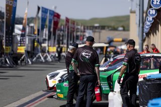 #99 BMW M4 GT3 EVO of Derek DeBoer and Hampus Ericsson, Random Vandals Racing, GT World Challenge America, Pro-Am, SRO America, Sonoma Raceway, Sonoma, CA, Mar 27 - 29, 2026
 | Fabian Lagunas&copy;2026