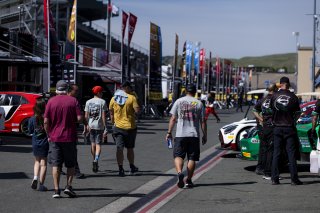 #99 BMW M4 GT3 EVO of Derek DeBoer and Hampus Ericsson, Random Vandals Racing, GT World Challenge America, Pro-Am, SRO America, Sonoma Raceway, Sonoma, CA, Mar 27 - 29, 2026
 | Fabian Lagunas&copy;2026