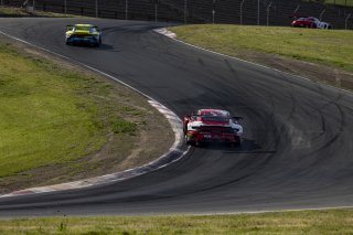 #8 Porsche 911 GT3-R (992) EVO of Michael McCann Jr. and Zachary Vanier, McCann Racing, GT World Challenge America, Pro, SRO America, Sonoma Raceway, Sonoma, CA, Mar 27 - 29, 2026
 | Fabian Lagunas&copy;2026