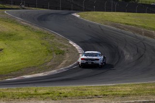 #6 Ford Mustang GT3 EVO of Cameron Lawrence and Alex Sedgwick, Dollahite Racing, GT World Challenge America, Pro, SRO America, Sonoma Raceway, Sonoma, CA, Mar 27 - 29, 2026
 | Fabian Lagunas&copy;2026