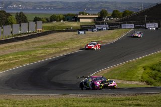 #13 Porsche 911 GT3-R (992) of Todd Parriott and Riley Dickinson, Kellymoss, GT World Challenge America, Pro-Am, SRO America, Sonoma Raceway, Sonoma, CA, Mar 27 - 29, 2026
 | Fabian Lagunas&copy;2026