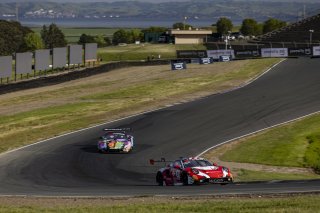 #8 Porsche 911 GT3-R (992) EVO of Michael McCann Jr. and Zachary Vanier, McCann Racing, GT World Challenge America, Pro, SRO America, Sonoma Raceway, Sonoma, CA, Mar 27 - 29, 2026
 | Fabian Lagunas&copy;2026