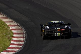 #163 Ferrari 296 GT3 EVO of Jay Schreibman and Oswaldo Negri, AF Corse USA, GT World Challenge America, Am, SRO America, Sonoma Raceway, Sonoma, CA, Mar 27 - 29, 2026
 | Fabian Lagunas&copy;2026