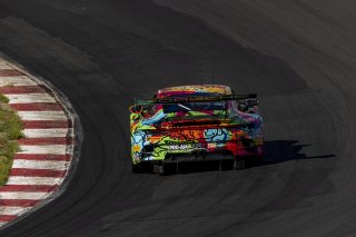 #31 Porsche 911 GT3-R (992) of Dave Musial Jr. and Ryan Yardley, Wright Motorsports, GT World Challenge America, Pro-Am, SRO America, Sonoma Raceway, Sonoma, CA, Mar 27 - 29, 2026
 | Fabian Lagunas&copy;2026
