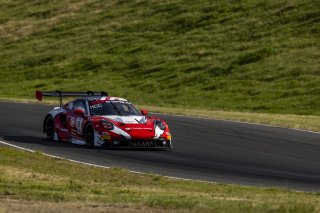 #8 Porsche 911 GT3-R (992) EVO of Michael McCann Jr. and Zachary Vanier, McCann Racing, GT World Challenge America, Pro, SRO America, Sonoma Raceway, Sonoma, CA, Mar 27 - 29, 2026
 | Fabian Lagunas&copy;2026