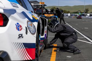 #6 Ford Mustang GT3 EVO of Cameron Lawrence and Alex Sedgwick, Dollahite Racing, GT World Challenge America, Pro, SRO America, Sonoma Raceway, Sonoma, CA, Mar 27 - 29, 2026
 | Fabian Lagunas&copy;2026