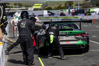 #99 BMW M4 GT3 EVO of Derek DeBoer and Hampus Ericsson, Random Vandals Racing, GT World Challenge America, Pro-Am, SRO America, Sonoma Raceway, Sonoma, CA, Mar 27 - 29, 2026
 | Fabian Lagunas&copy;2026