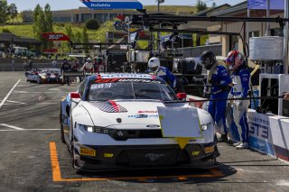 #6 Ford Mustang GT3 EVO of Cameron Lawrence and Alex Sedgwick, Dollahite Racing, GT World Challenge America, Pro, SRO America, Sonoma Raceway, Sonoma, CA, Mar 27 - 29, 2026
 | Fabian Lagunas&copy;2026