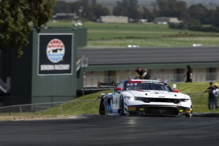 #6 Ford Mustang GT3 EVO of Cameron Lawrence and Alex Sedgwick, Dollahite Racing, GT World Challenge America, Pro, SRO America, Sonoma Raceway, Sonoma, CA, Mar 27 - 29, 2026
 | Fabian Lagunas&copy;2026