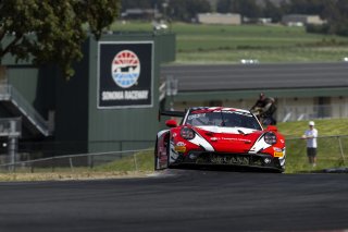 #8 Porsche 911 GT3-R (992) EVO of Michael McCann Jr. and Zachary Vanier, McCann Racing, GT World Challenge America, Pro, SRO America, Sonoma Raceway, Sonoma, CA, Mar 27 - 29, 2026
 | Fabian Lagunas&copy;2026