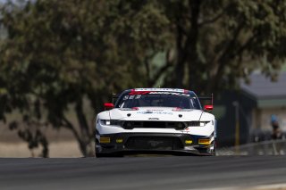 #6 Ford Mustang GT3 EVO of Cameron Lawrence and Alex Sedgwick, Dollahite Racing, GT World Challenge America, Pro, SRO America, Sonoma Raceway, Sonoma, CA, Mar 27 - 29, 2026
 | Fabian Lagunas&copy;2026