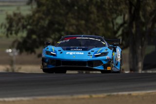 #12 Ferrari 296 GT3 EVO of Matias Perez Companc and Frederik Schandorff, AF Corse USA, GT World Challenge America, Pro, SRO America, Sonoma Raceway, Sonoma, CA, Mar 27 - 29, 2026
 | Fabian Lagunas&copy;2026