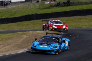 #12 Ferrari 296 GT3 EVO of Matias Perez Companc and Frederik Schandorff, AF Corse USA, GT World Challenge America, Pro, SRO America, Sonoma Raceway, Sonoma, CA, Mar 27 - 29, 2026
 | Fabian Lagunas&copy;2026