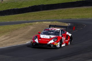 #8 Porsche 911 GT3-R (992) EVO of Michael McCann Jr. and Zachary Vanier, McCann Racing, GT World Challenge America, Pro, SRO America, Sonoma Raceway, Sonoma, CA, Mar 27 - 29, 2026
 | Fabian Lagunas&copy;2026