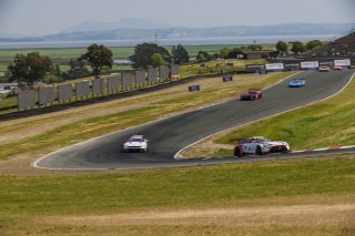 #34 Mercedes-AMG GT3 EVO of Michai Stephens and Mikael Grenier, JMF Motorsports, GT World Challenge America, Pro, SRO America, Sonoma Raceway, Sonoma, CA, Mar 27 - 29, 2026
 | Andrew Miterko Photography LLC &copy;2026