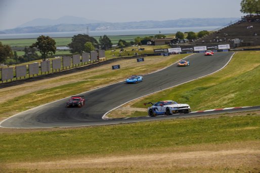 #6 Ford Mustang GT3 EVO of Cameron Lawrence and Alex Sedgwick, Dollahite Racing, GT World Challenge America, Pro, SRO America, Sonoma Raceway, Sonoma, CA, Mar 27 - 29, 2026
 | Andrew Miterko Photography LLC &copy;2026