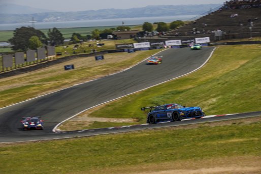 #9 Mercedes-AMG GT3 EVO of Brayton Williams and Will Bamber, TR3 Racing, GT World Challenge America, Pro-Am, SRO America, Sonoma Raceway, Sonoma, CA, Mar 27 - 29, 2026
 | Andrew Miterko Photography LLC &copy;2026