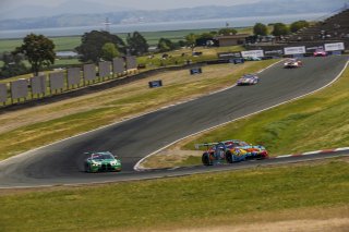 #31 Porsche 911 GT3-R (992) of Dave Musial Jr. and Ryan Yardley, Wright Motorsports, GT World Challenge America, Pro-Am, SRO America, Sonoma Raceway, Sonoma, CA, Mar 27 - 29, 2026
 | Andrew Miterko Photography LLC &copy;2026