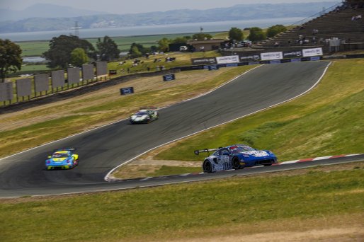#017 Porsche 911 GT3-R (992) of Michael Clark and Colin Braun, Kellymoss, GT World Challenge America, Pro-Am, SRO America, Sonoma Raceway, Sonoma, CA, Mar 27 - 29, 2026
 | Andrew Miterko Photography LLC &copy;2026