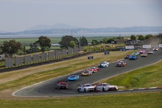 #34 Mercedes-AMG GT3 EVO of Michai Stephens and Mikael Grenier, JMF Motorsports, GT World Challenge America, Pro, SRO America, Sonoma Raceway, Sonoma, CA, Mar 27 - 29, 2026
 | Andrew Miterko Photography LLC &copy;2026