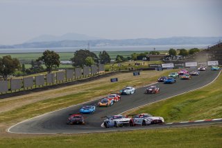#34 Mercedes-AMG GT3 EVO of Michai Stephens and Mikael Grenier, JMF Motorsports, GT World Challenge America, Pro, SRO America, Sonoma Raceway, Sonoma, CA, Mar 27 - 29, 2026
 | Andrew Miterko Photography LLC &copy;2026