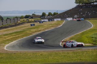#34 Mercedes-AMG GT3 EVO of Michai Stephens and Mikael Grenier, JMF Motorsports, GT World Challenge America, Pro, SRO America, Sonoma Raceway, Sonoma, CA, Mar 27 - 29, 2026
 | Andrew Miterko Photography LLC &copy;2026