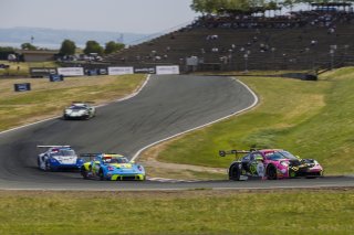 #13 Porsche 911 GT3-R (992) of Todd Parriott and Riley Dickinson, Kellymoss, GT World Challenge America, Pro-Am, SRO America, Sonoma Raceway, Sonoma, CA, Mar 27 - 29, 2026
 | Andrew Miterko Photography LLC &copy;2026