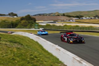 #27 Mercedes-AMG GT3 EVO of Jason Daskalos and Lorcan Hanafin, JMF Motorsports, GT World Challenge America, Pro-Am, SRO America, Sonoma Raceway, Sonoma, CA, Mar 27 - 29, 2026
 | Andrew Miterko Photography LLC &copy;2026
