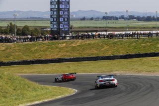 #34 Mercedes-AMG GT3 EVO of Michai Stephens and Mikael Grenier, JMF Motorsports, GT World Challenge America, Pro, SRO America, Sonoma Raceway, Sonoma, CA, Mar 27 - 29, 2026
 | Andrew Miterko Photography LLC &copy;2026