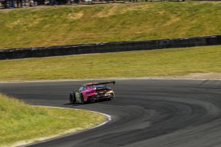 #13 Porsche 911 GT3-R (992) of Todd Parriott and Riley Dickinson, Kellymoss, GT World Challenge America, Pro-Am, SRO America, Sonoma Raceway, Sonoma, CA, Mar 27 - 29, 2026
 | Andrew Miterko Photography LLC &copy;2026